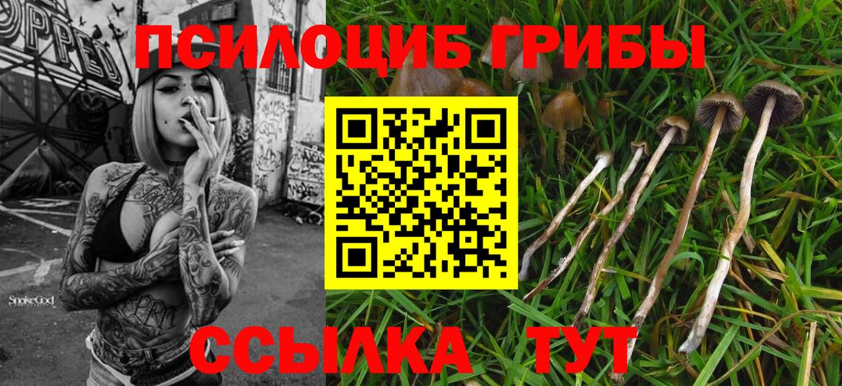 Псилоцибиновые грибы Magic Shrooms  Вход с VPN  Лесной 